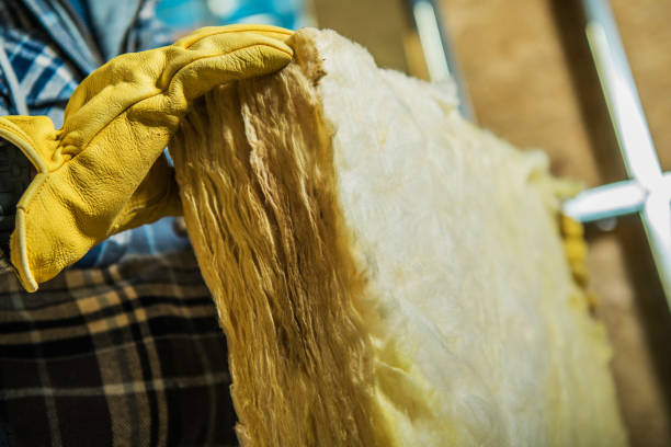 Best Insulation Maintenance and Repair in Northbrook, IL