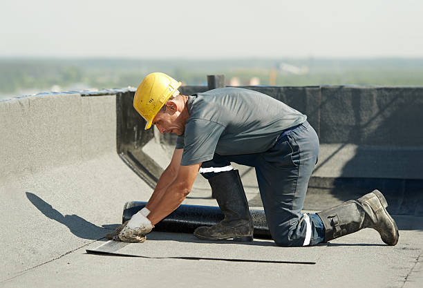 Best Insulation Installation Services in Northbrook, IL